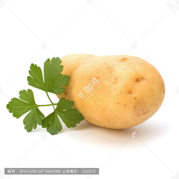 新土豆綠歐芹