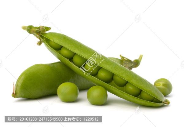 新鮮青豆莢