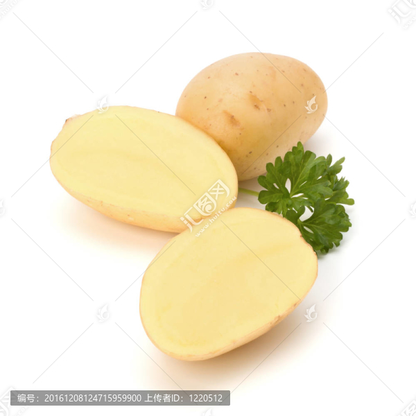 新土豆綠歐芹