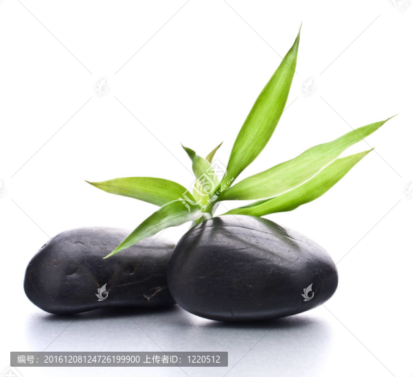 禪石。石材水療與保健理念。