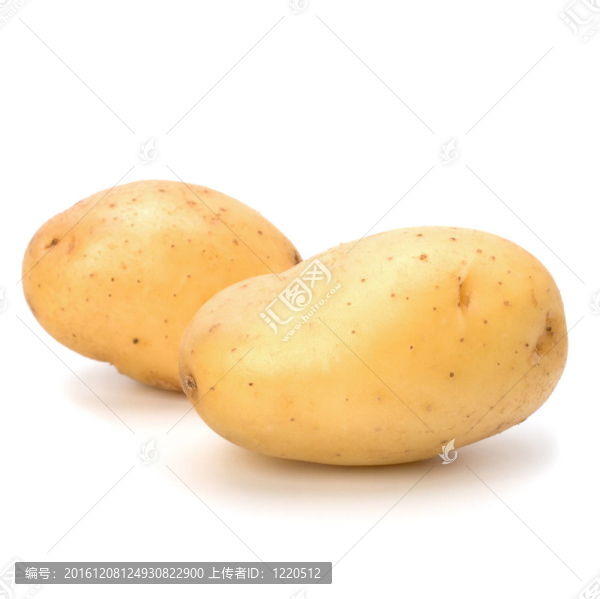 新土豆