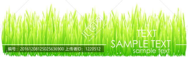 草地背景