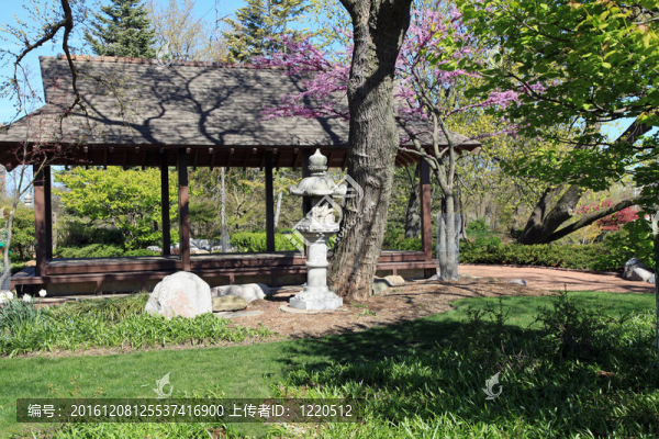 美麗的大阪花園