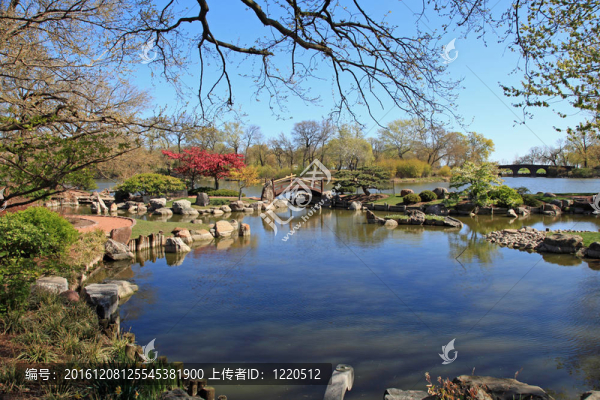 美麗的大阪花園