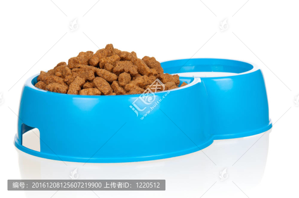 狗食碗