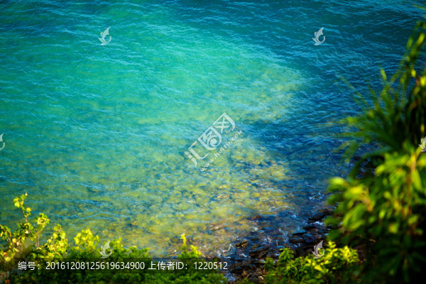 綠色瀉湖