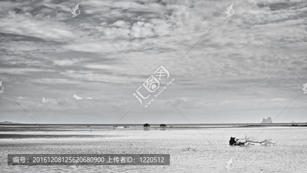 KOH,LIBONG架