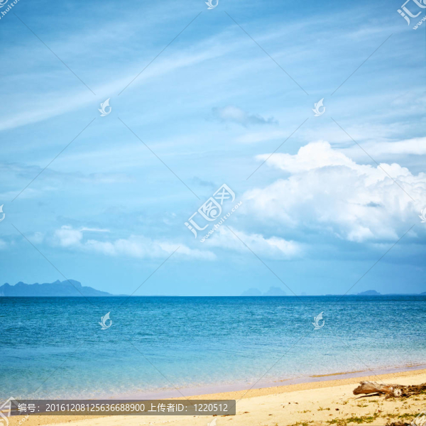 熱帶海灘