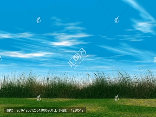 多云的天空上多汁的青草
