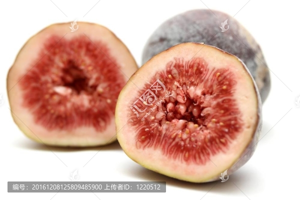 無花果的果實