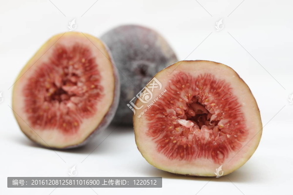 無花果的果實