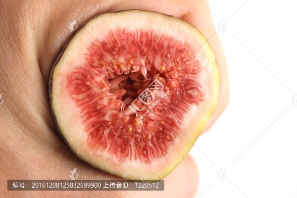 無花果的手