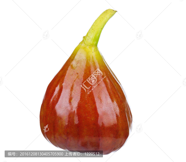 新鮮無(wú)花果