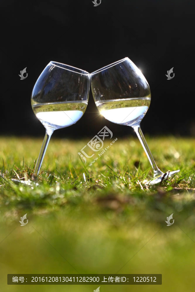 兩杯白葡萄酒