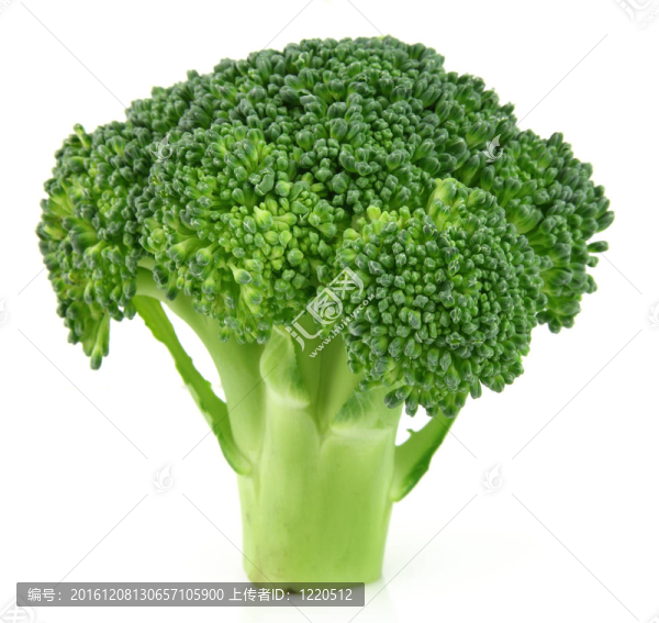 分行的西蘭花