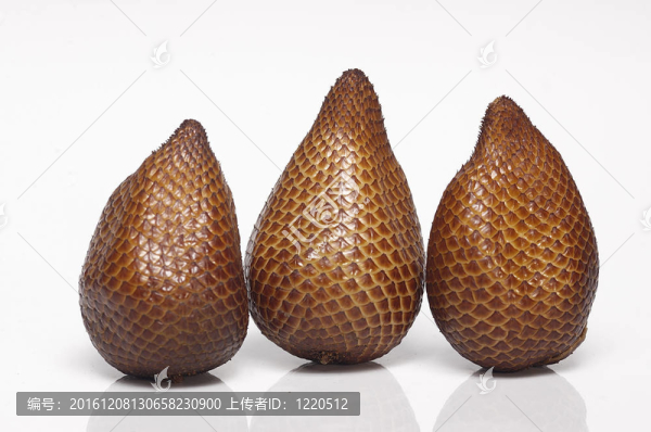 水果；蛇；Salacca；毛竹；三；白色；食品
