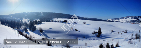 Bohemian,Erzgebirge的全景