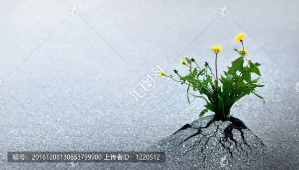 生命戰(zhàn)勝一切困難