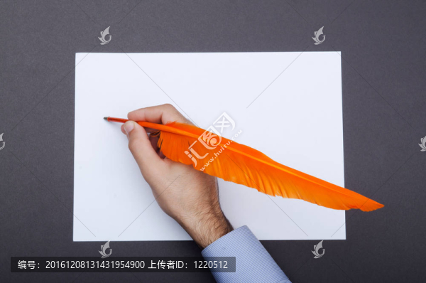 老式概念與羽毛