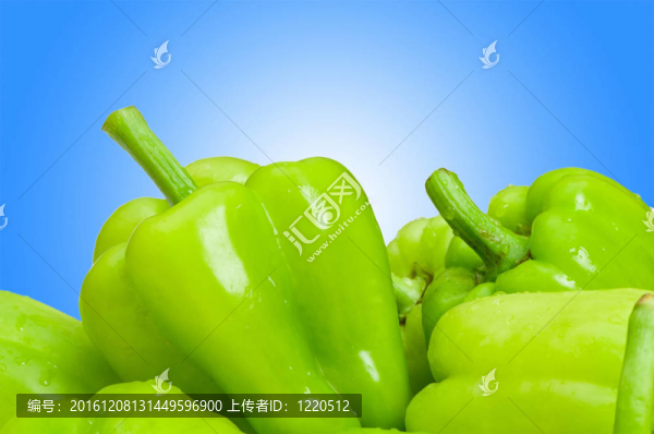甜椒梯度