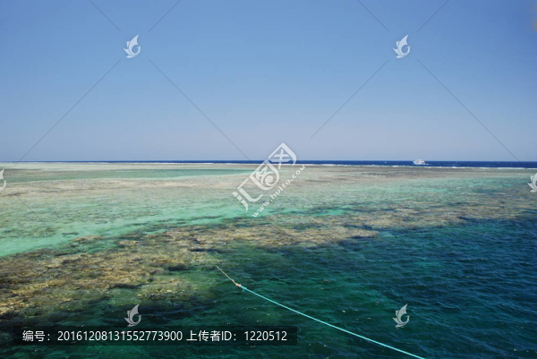 珊瑚礁船