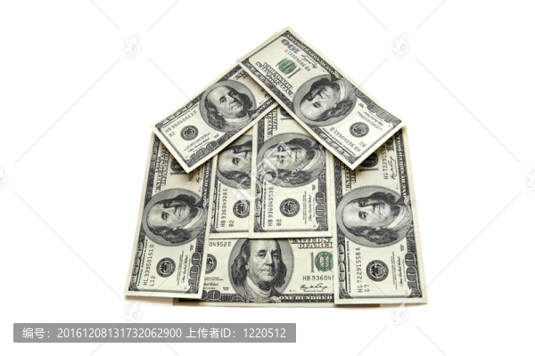 美元；謊言是白色背景上的一個小屋