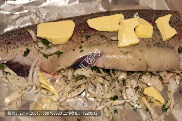 鮭鱒魚(yú)