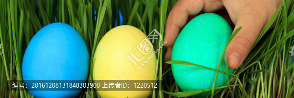 尋找復(fù)活節(jié)彩蛋