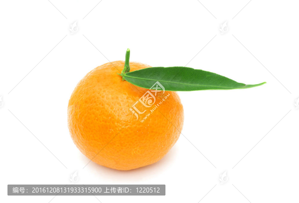 Tangerine夜店
