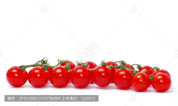 西紅柿