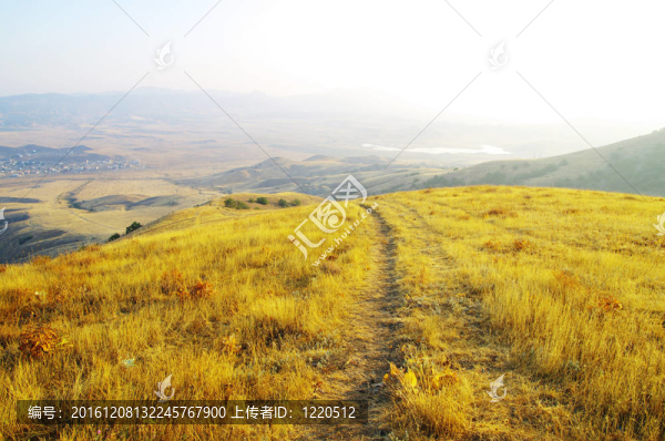 山地景觀