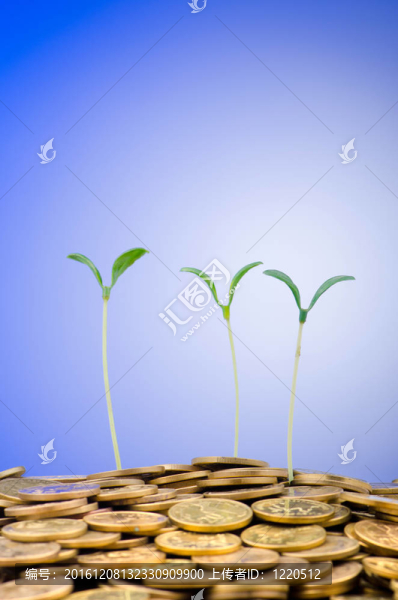 苗木金融概念