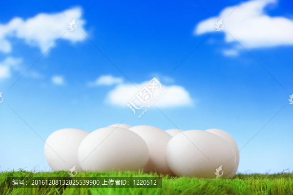 純白色的雞蛋在綠草與天空