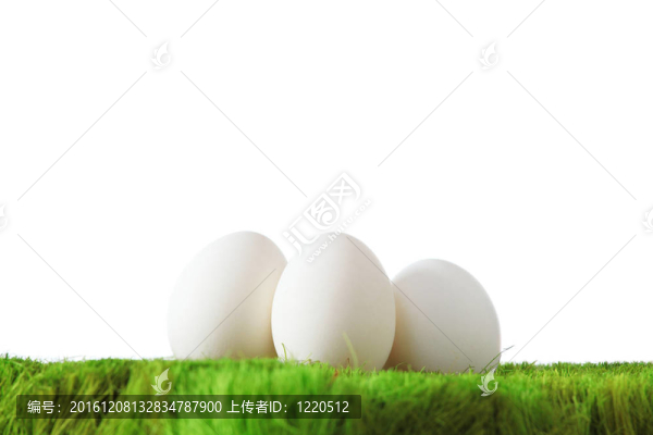 青草上的白雞蛋