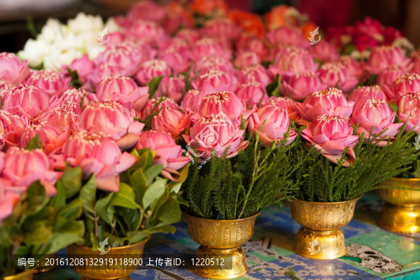 幾種顏色的Flowers。