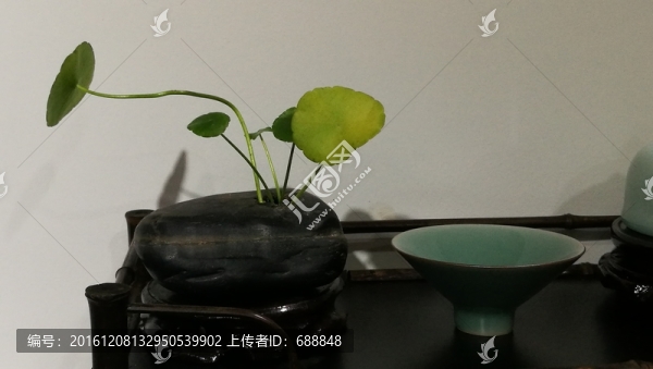 茶器