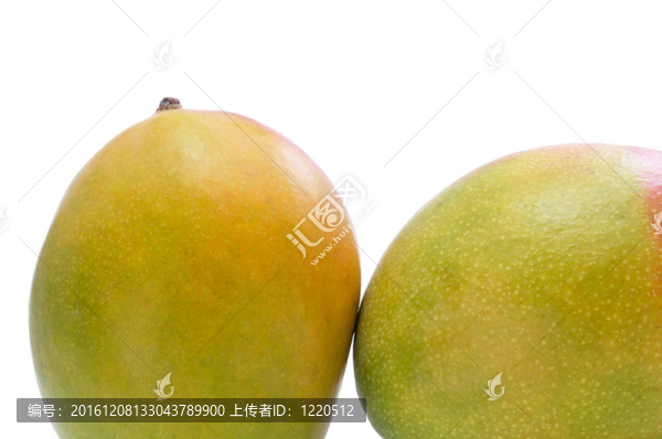 芒果