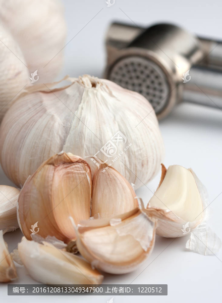 新鮮大蒜