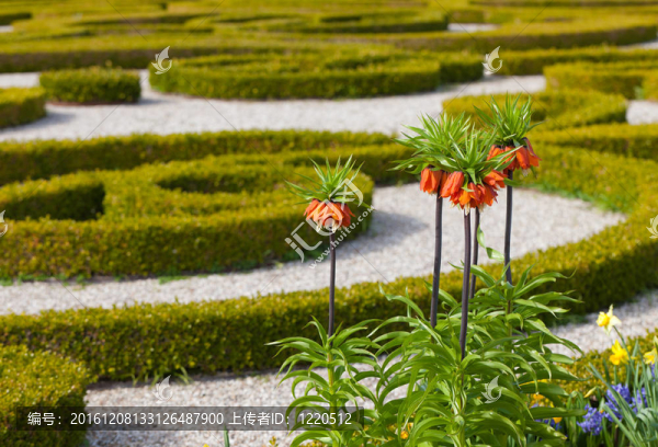 春天的花園