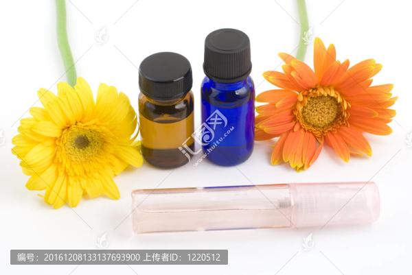 精油和gerbera,daisy