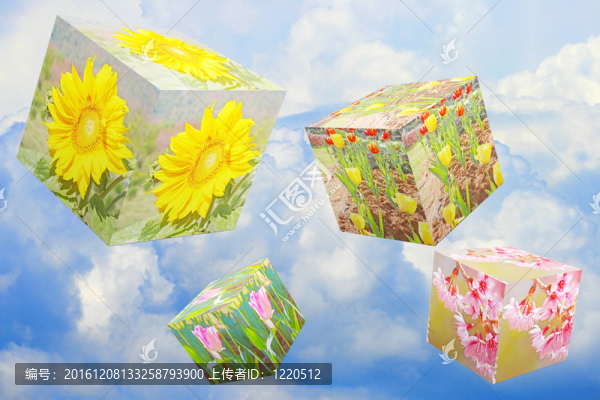 空中花盒