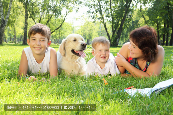 母親和她的兩個(gè)兒子在公園里帶著狗