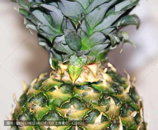 大開(kāi)胃菠蘿背景圖像