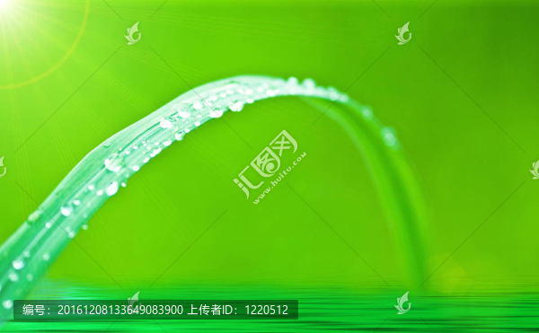 濕草
