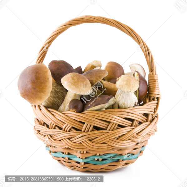籃子里的蘑菇