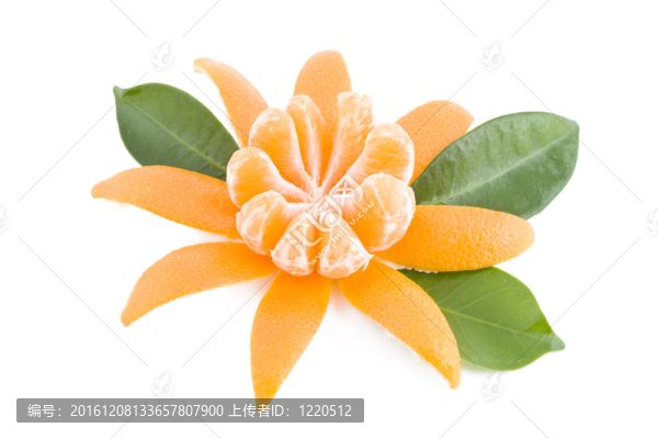 多汁的Tangerine夜店