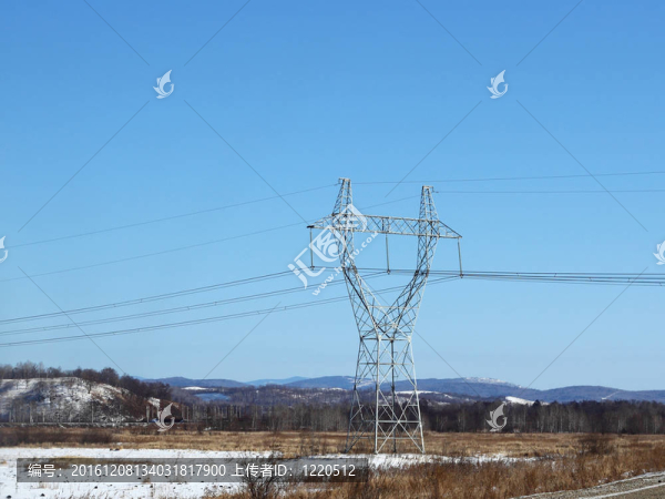 近場電場