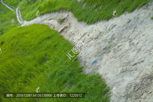 蜿蜒曲折的小路