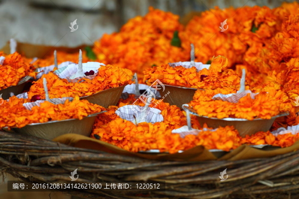 花排列為胡里節(jié)和印度的宗教祭。