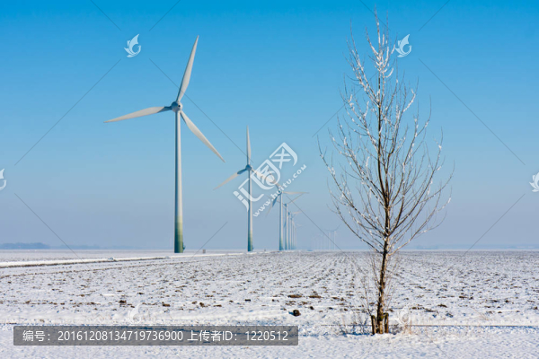 荷蘭農(nóng)田冬季景觀中的風(fēng)力渦輪機(jī)